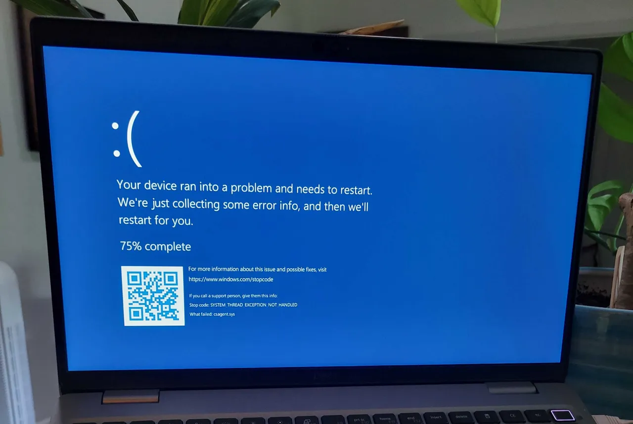 crowdstrike-triggers-widespread-windows